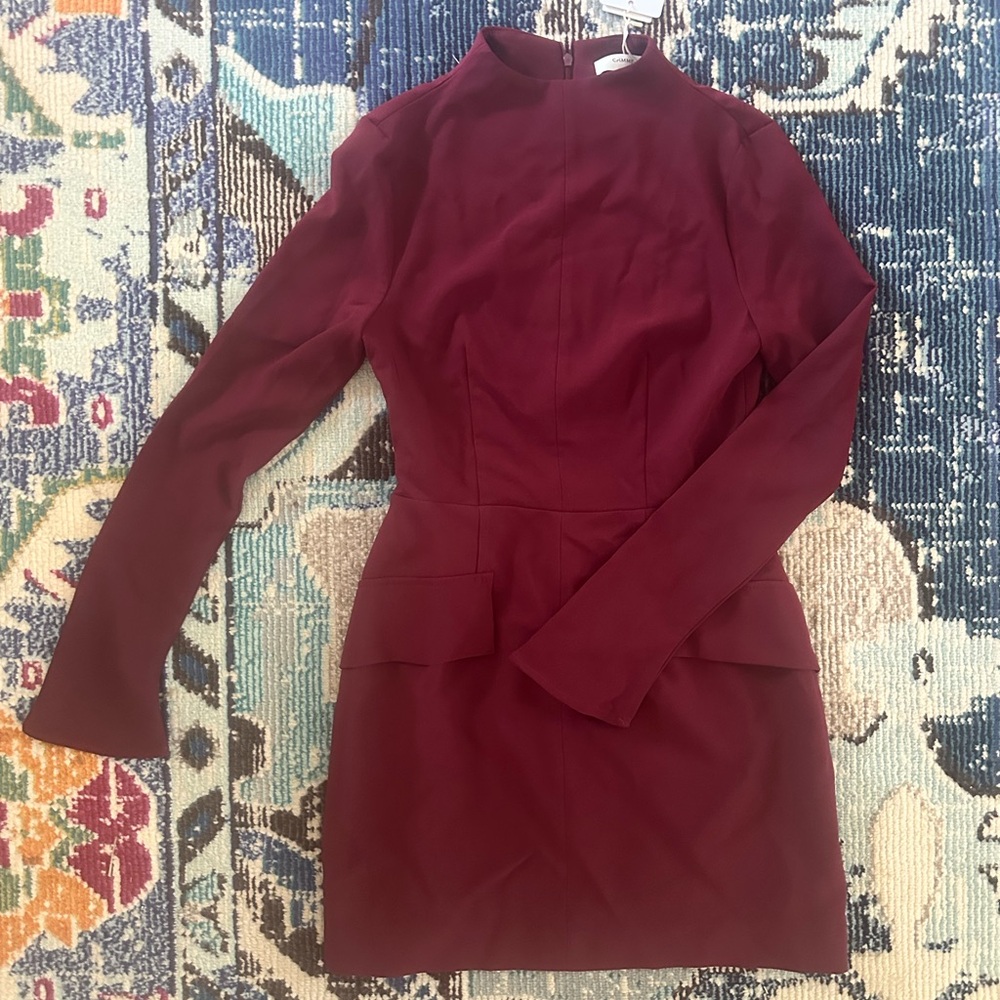 Elegant Burgundy Dress